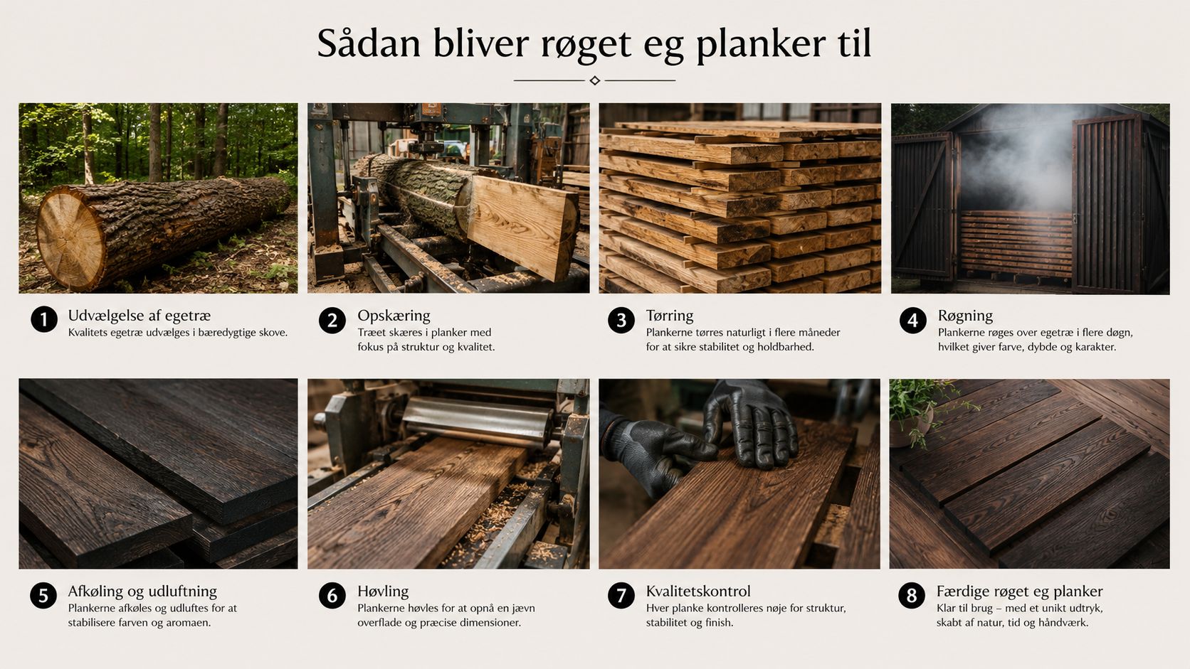 En infografik i otte trin, der viser processen fra fældning af egetræ til færdige røgede egetræsplanker.